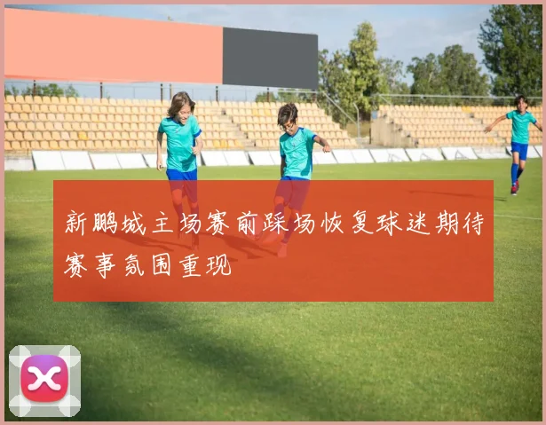 新鹏城主场赛前踩场恢复球迷期待赛事氛围重现