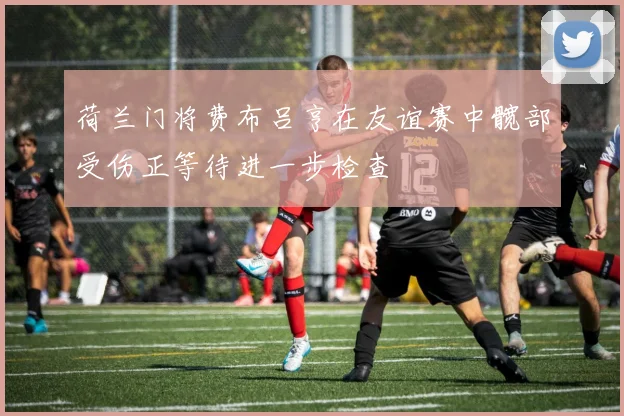 荷兰门将费布吕亨在友谊赛中髋部受伤正等待进一步检查